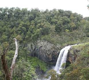 Uper Falls im Dorrigo Nt. Park