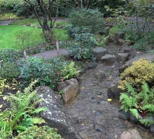 Japanischer Garten
