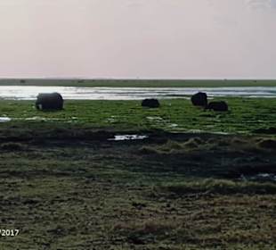 PrivatSafari 10/17 - Tsavo+Amboseli - impressions