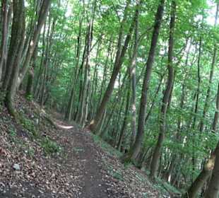 Premiumwanderweg "hochgelegen"