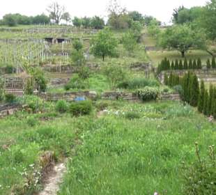 Naturinfopfad Weggental