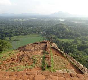 Elefantenreiten Sigiriya