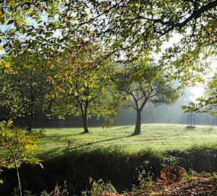 Herbstspaziergang durch den Schlosspark Lütetsburg