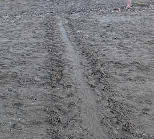 Strand Kalamaki