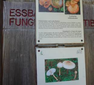 Wandern Sesto / Sexten