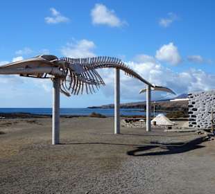Walskelett im Außenbereich der Saline