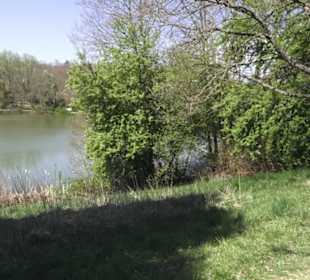 Sport- und Freizeitpark Markwasen