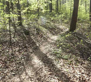 Wanderweg Hochgehkämpft