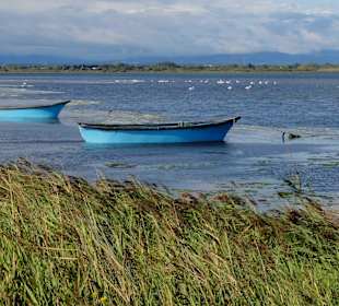 Fischerboote auf dem Etang