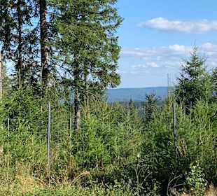 Wandern Friedrichroda