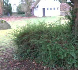 Alter Friedhof Pliezhausen