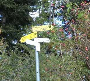 Geschichtslehrpfad Streichen