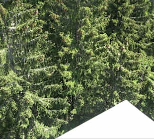 Naturparkzentrum Ruhestein