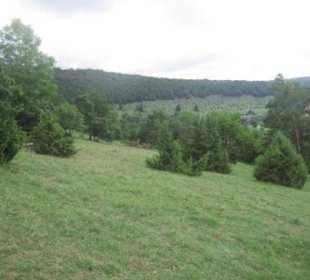 Typischer Wacholderheidehang