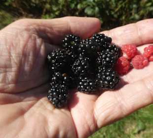 Wanderung Harlachberger Spitze