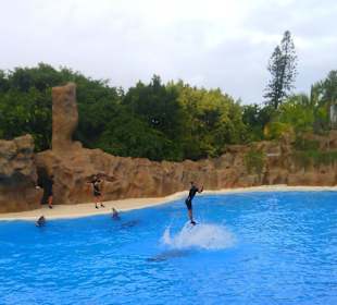 Ausflüge. Loro Park