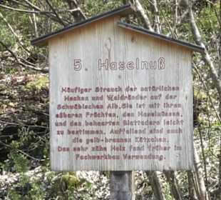 Waldlehrpfad an der Lauter