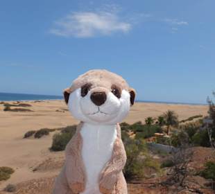 Dünen von Maspalomas