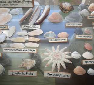 Rundgang durch die Museumsräume der Windmühle