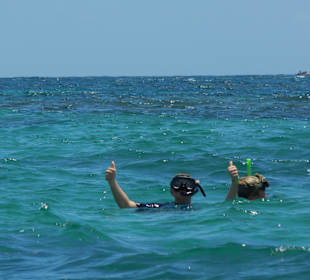 Schnorchelausflug Speedboot Playa Bavaro