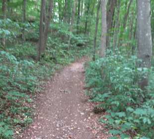 Hochgeträumt Premiumwanderung