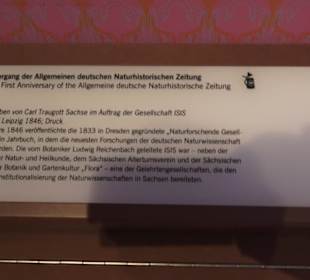 Stadtmuseum