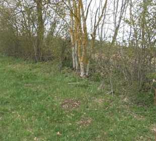 Vulkankrater-Rundweg Apfelstetten