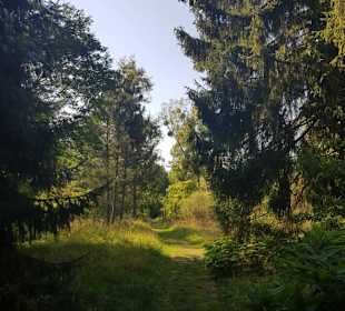 Botanischer Garten