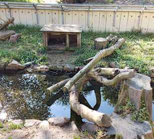 Wildpark Osterzgebirge