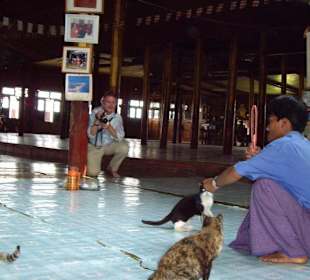 Vorbereitung zum Katzensprung