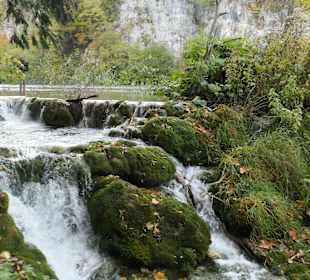 Im Nationalparks Plitvicka Jezera (Plitvicer Seen)