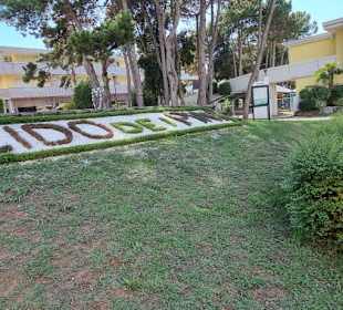 Lido dei Pini