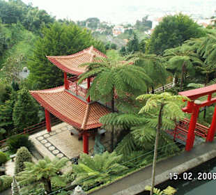 Jap. Garten Monte
