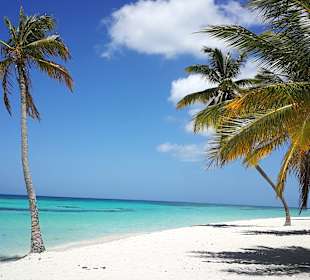 Isla Saona
