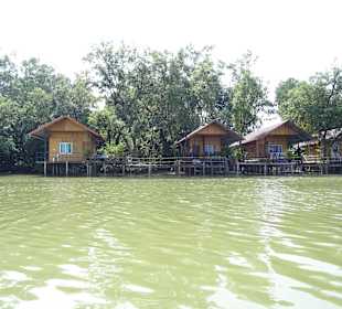 Auf dem Weg zu den schwimmenden Affen
