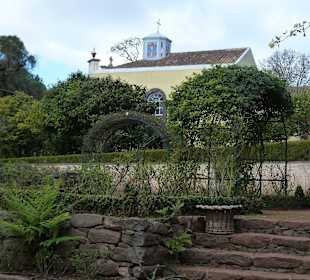 Blick durch den Garten