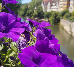 Neckarbrücke Tübingen
