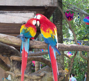 Xcaret