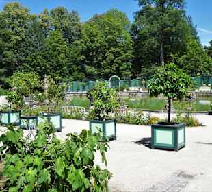 Im Garten des Neuen Schlosses der Eremitage