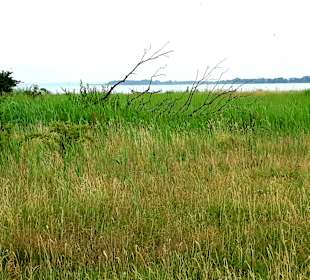 Wanderung Halbinsel Gnitz