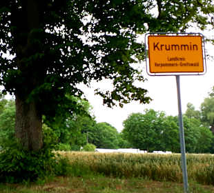 Ausblick Allee von Krummin