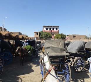 Kutschfahrt durch Edfu Ägypten