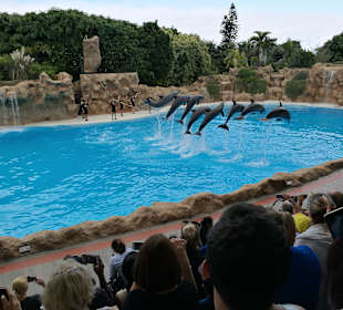 Loro Parque 