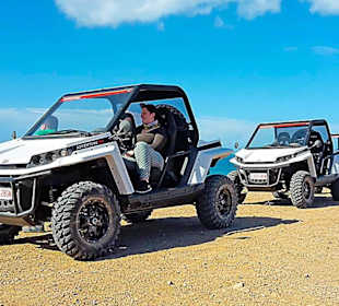Premium-Buggy-Tour bei La Pared