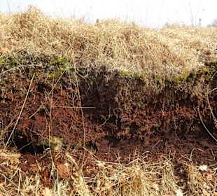 Torfstich im Moormuseum