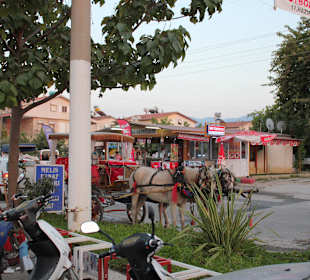 15 minütiger Fußweg zum kleinen Basar.