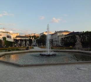 Im Mirabellgarten