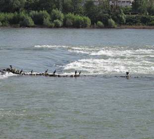 Schifffahrt auf dem Mittelrhein