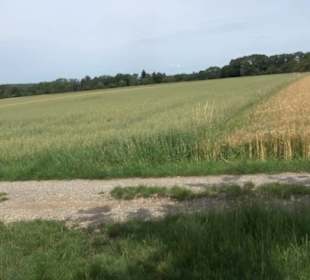 Premiumspazierweg Früchtetrauf-Leisawegle