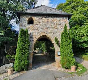 Burg Wildenburg (Hunsrück) - Tor